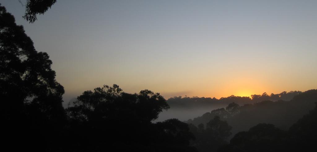Valley View Bed And Breakfast Newcastle Buitenkant foto